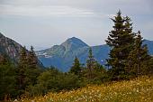 Da Cornalba salita in Cima Alben e Cima Croce per creste il 19 giugno 2010 - FOTOGALLERY